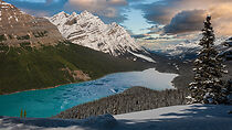 Watch Mountains in Motion: The Canadian Rockies (Short 2012)