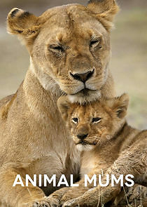 Watch Animal Mums