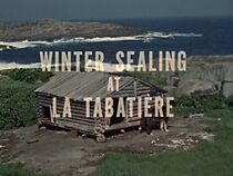 Watch Winter Sealing at La Tabatière (Short 1963)