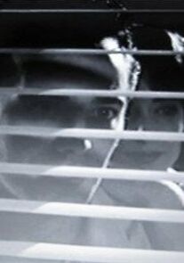 Watch Fools Die Fast