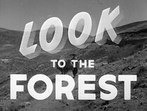 Watch Look to the Forest (Short 1950)