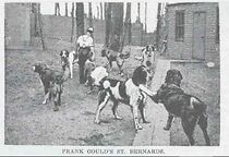 Watch Frank Gould's Dogs (Short 1899)