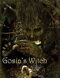 Watch Gosia's Witch (Short 2009)