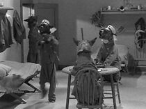 Watch Love-Tails of Morocco (Short 1931)