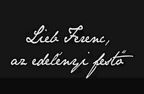 Watch The painter from Edelény (Short 2013)