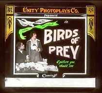 Watch Birds of Prey (Short 1917)