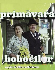 Watch Primãvara bobocilor