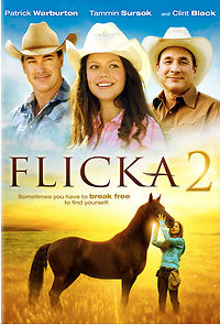 Watch Flicka 2