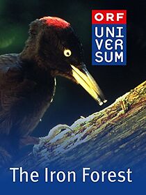 Watch Iron Forest (Short 2008)