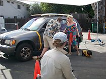 Watch Point of View: A Dogumentary (Short 2007)