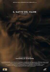 Watch Il gatto del Maine (Short 2012)