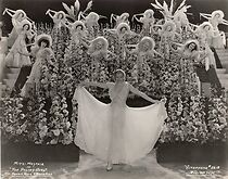 Watch The Policy Girl (Short 1934)