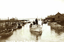 Watch Our Island Home (Short 2008)