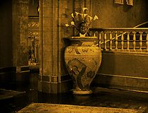 Watch Galloping Ghosts (Short 1928)