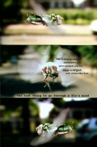 Watch The Last Thing to Go Through a Fly's Mind (Short 2007)