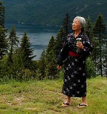 Watch Falling from the Sky (Short 2011)