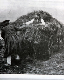 Watch Dezata na Balkana