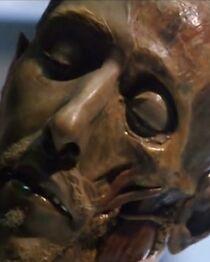 Watch La fabrique du corps humain