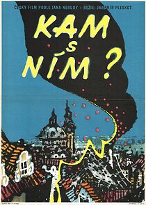 Watch Kam s ním