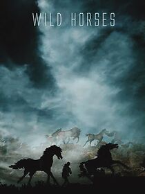 Watch Wild Horses (Short 2013)