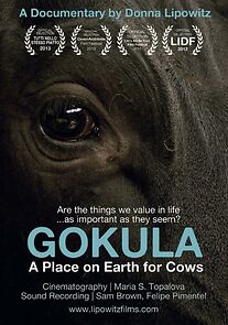 Watch GOKULA: A Place on Earth for Cows (Short 2011)