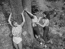 Watch Mondo oscenità