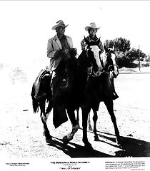 Watch Trail of Danger