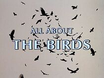 Watch All About 'the Birds'