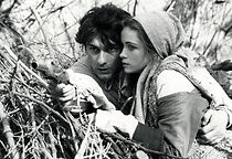 Watch Tomorrow the Day Will Come