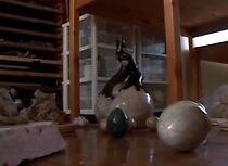 Watch La terre a une mémoire (Short 2008)