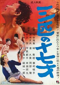 Watch Sanbiki no jûnanasai