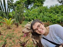 Watch 35mm Memories (Short 2002)