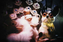 Watch Große Gefühle (Short 1999)