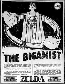 Watch The Bigamist