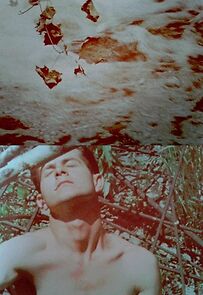 Watch Du sang, de la volupté et de la mort, part III: Charmides (Short 1948)