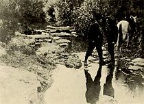 Watch Big Hearted Sim (Short 1912)