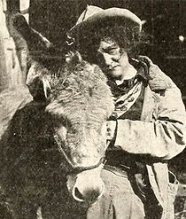 Watch Calamity Anne's Beauty (Short 1913)