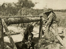 Watch The Girl Stage Driver (Short 1914)