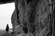 Watch La meule (Short 1963)