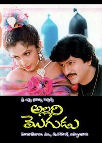 Watch Allari Mogudu