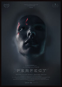 Watch Perfect