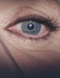 Watch Evelyn (Short 2012)