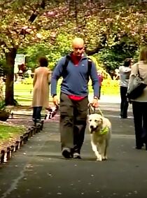 Watch Larry and Me (Short 2008)