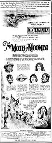 Watch The Moth of Moonbi