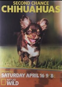 Watch Second Chance Chihuahuas (TV Special 2016)