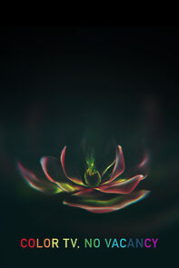 Watch Color TV No Vacancy