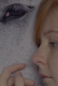 Watch The Wishing Horse (Short 2014)