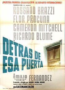 Watch Political Asylum