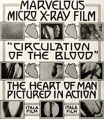 Watch La circolazione del sangue (Short 1913)