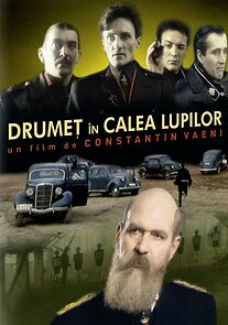 Watch Drumet în calea lupilor